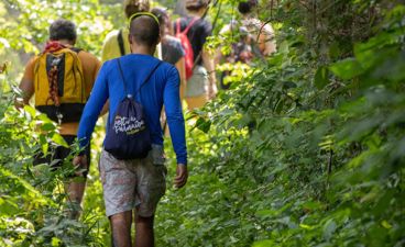 Gezond Natuur Wandelen