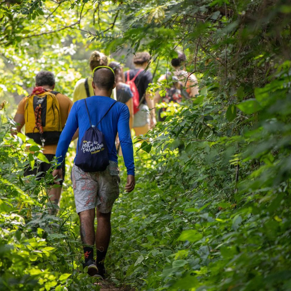 Een groep wandelaars wandelen door het bos.