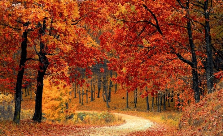 Herfstvakantie