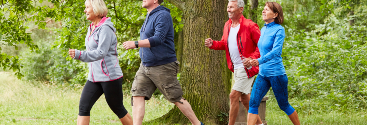 4 Wandelende volwassenen in de natuur