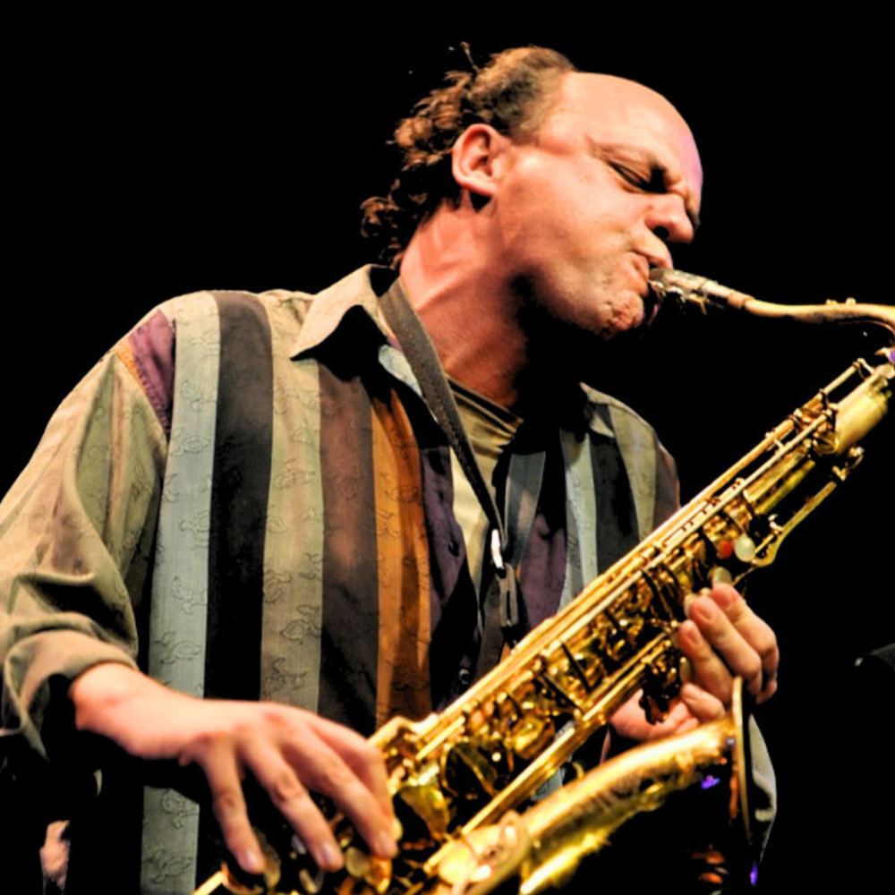 Muzikant Toon Roos in actie Fotograaf Ronald Snijders