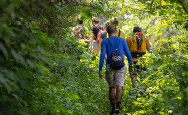 Volwassenen wandelen in de natuur. 