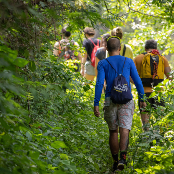 Volwassenen wandelen in de natuur. 