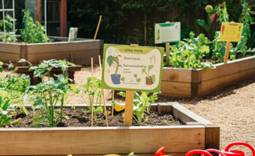 Moestuin met bakken vol met groenten. Met daarvoor een rij kindergieters. 