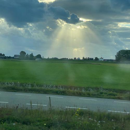 Poldergezicht
