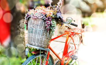 Fiets met mand voorop. De mand is gevuld met fruit.