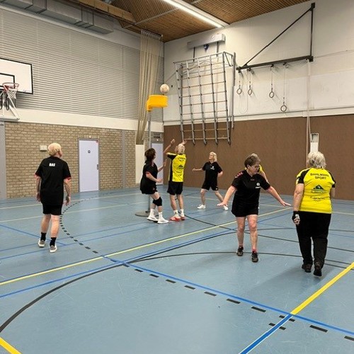 Actiefoto tijdens KV Tempo Oldstars Korfbal